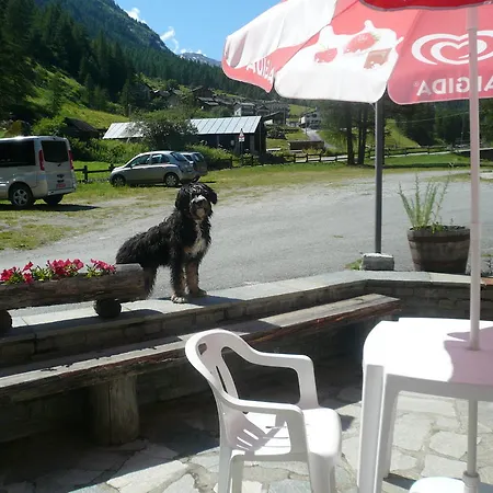 Grivola Valsavarenche