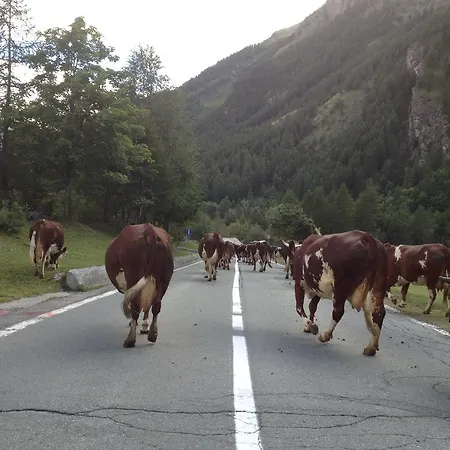 Grivola Hotel Valsavarenche