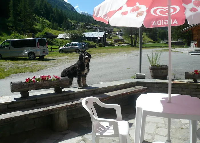 Camping Grivola Valsavarenche